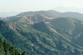 �����򺬻������򺬻�