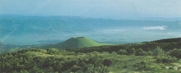 �����л�ͭ��ƻϩ�̹Է�