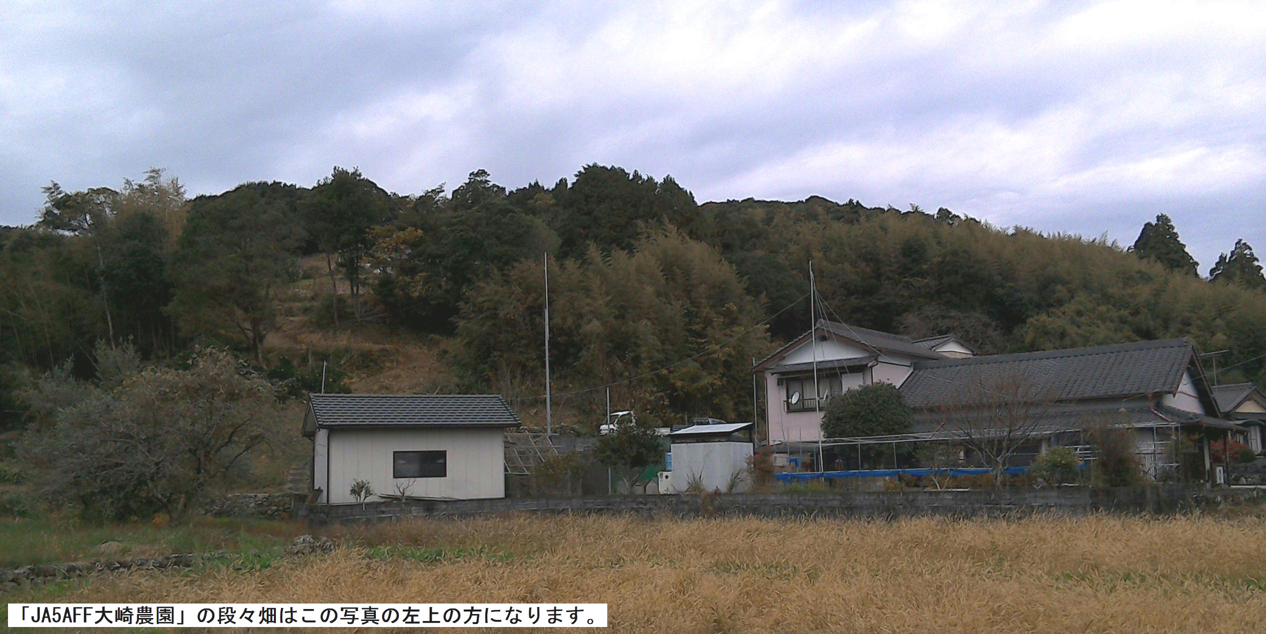 大崎農園