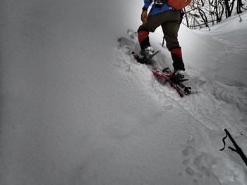 �X�m�[�V���[