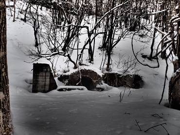 �r�C����