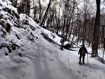 �X�m�[�n�C�L���O