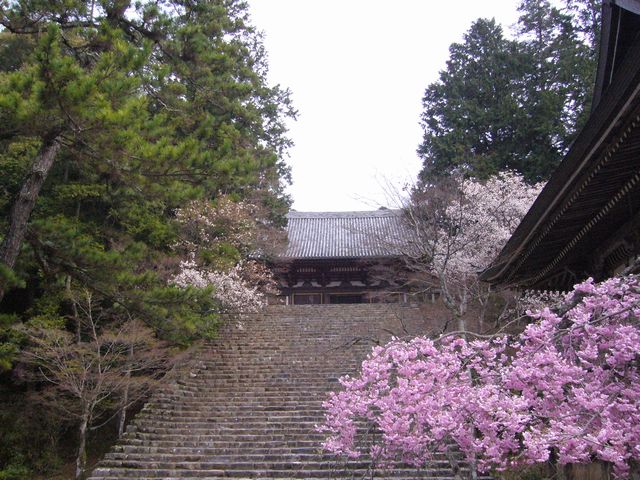 高雄山神護寺