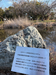 見沼の環境を伝える活動