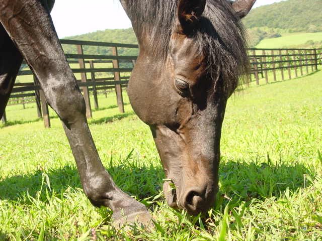 エルウェーウィン