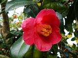 a2009_0318-004