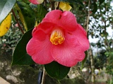 a2009_0318-005