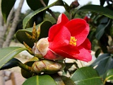 a2009_0318-014