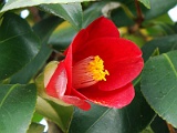 a2009_0318-015