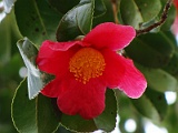 a2009_0318-017