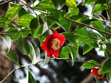 a2009_0318-020