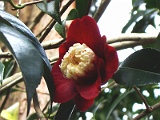 a2009_0318-021