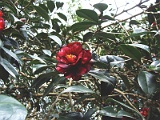 a2009_0318-025
