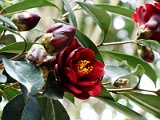 a2009_0318-027