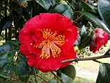 a2009_0318-031