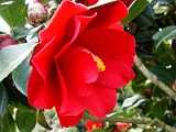 a2009_0318-036