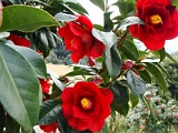 a2009_0318-037