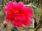 a2009_0318-040