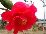a2009_0318-041