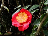 a2009_0318-052