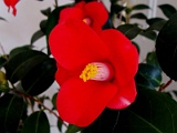 a2009_0318-093