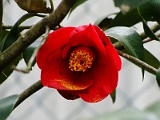 a2009_0318-103