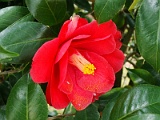 a2009_0318-105