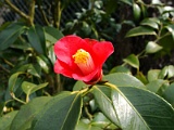 a2009_0318-110