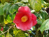a2009_0318-111