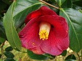 a2009_0318-112