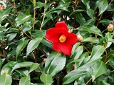 a2009_0318-121