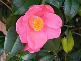 a20110324_25