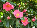 a20110324_26