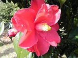 a20110324_44