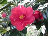 a20110324_45