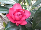 a20110324_55
