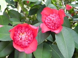 a20110324_68