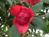 a20110324_69