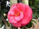 a20110324_70