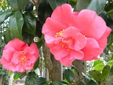 a20110324_71