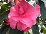 a20110324_76