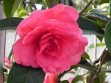 a20110324_77
