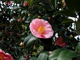 p2009_0318-002