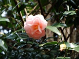 p2009_0318-023