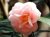 p2009_0318-024