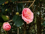 p2009_0318-033
