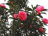 p2009_0318-034