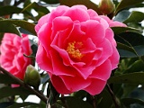 p2009_0318-035
