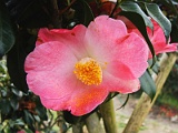 p2009_0318-038