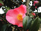 p2009_0318-039